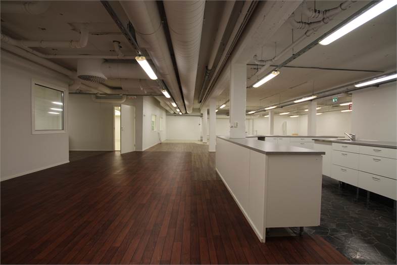 Kuninkaanlähteenkatu 6