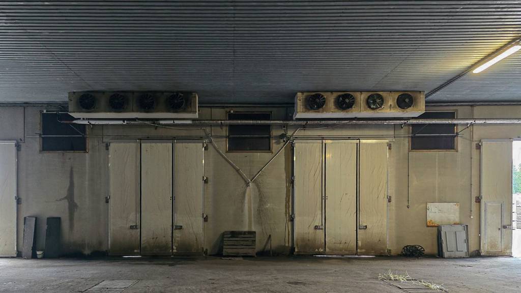 Pihlajapuolentie 133