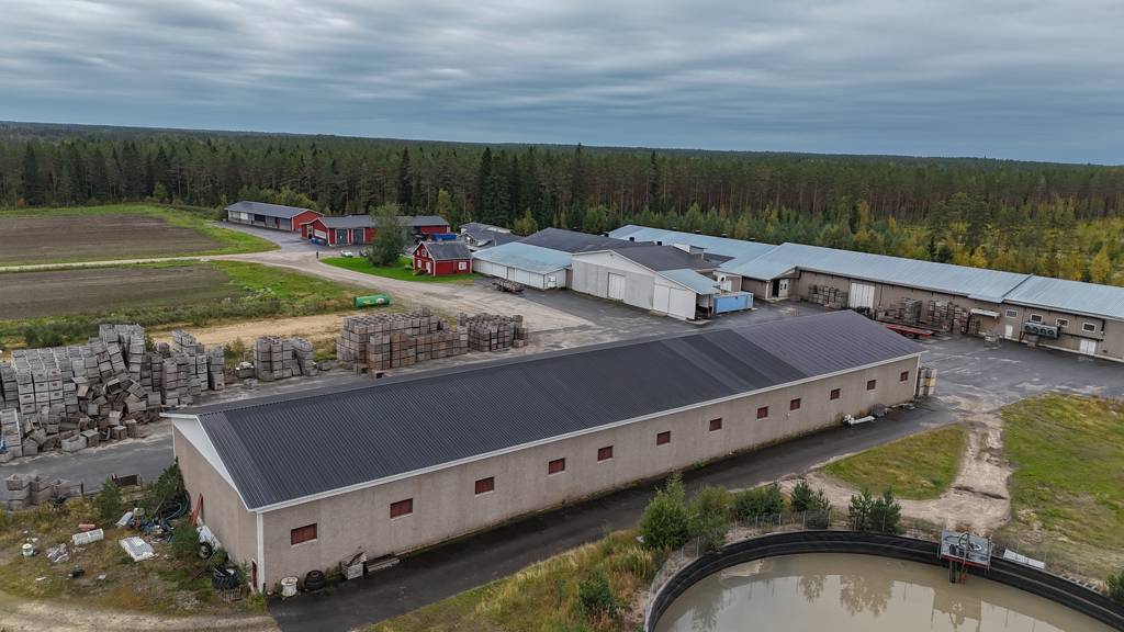 Pihlajapuolentie 133