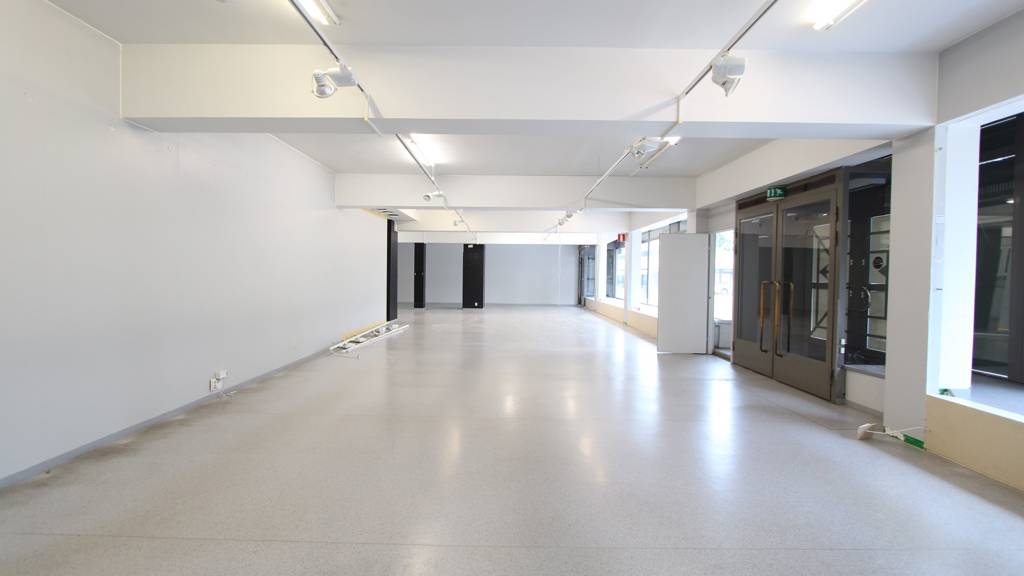 Kohdekuva 8 Fellmanin puistokatu 20 M