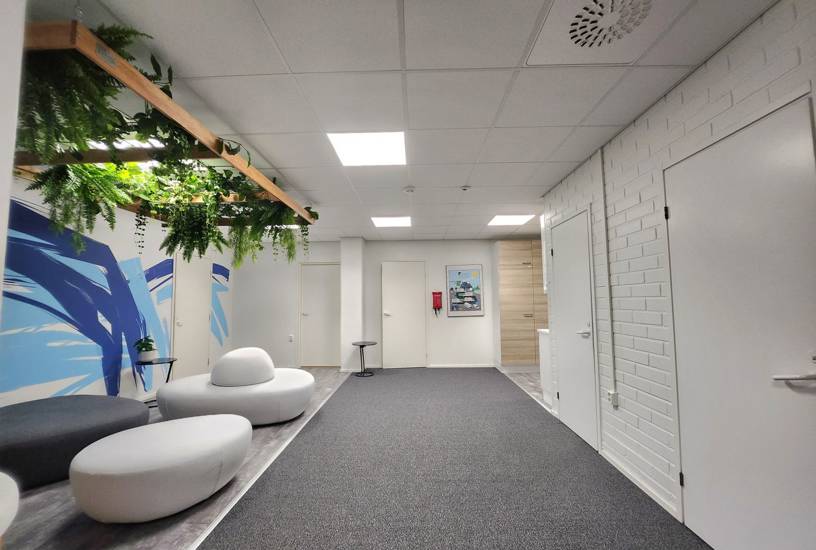 Sumeliuksenkatu 18 B