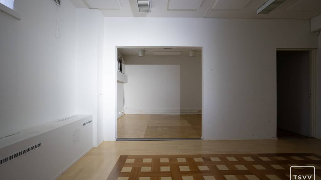 Kohdekuva 9 Puolalanpuisto 1 b