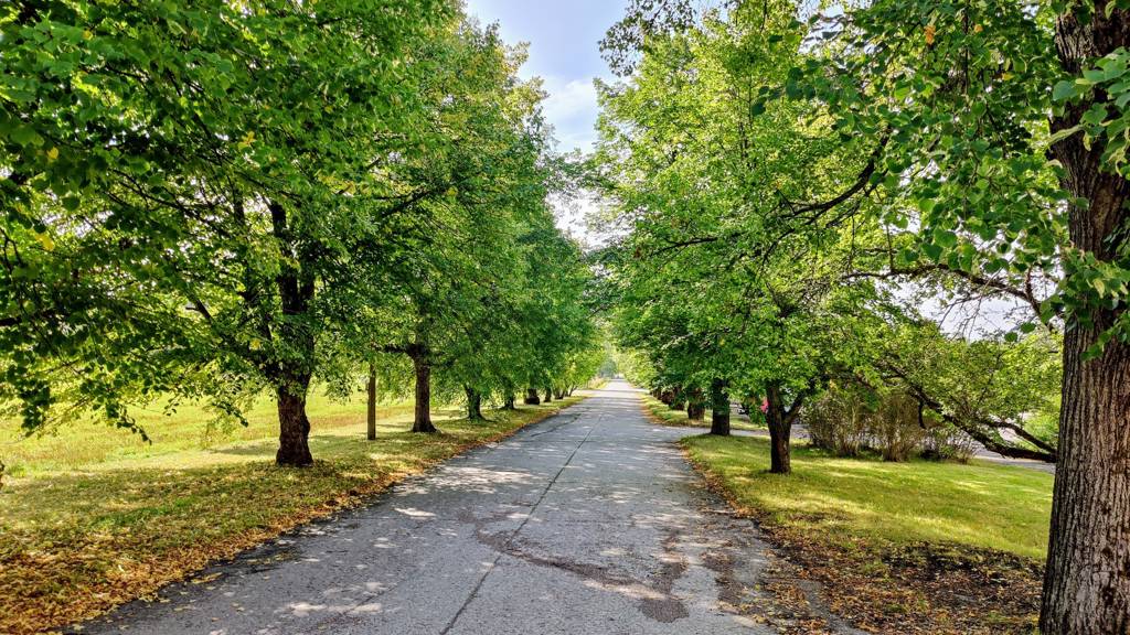 Kohdekuva 10 Kievarintie 23